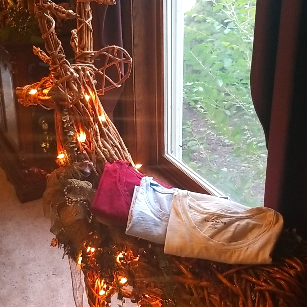 Eddie Bauer t-shirts (3 count)